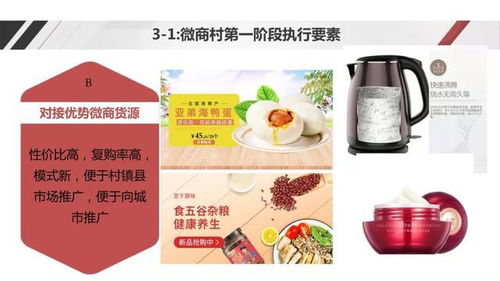 電商社交新模式助力農產品上行——野農優(yōu)品創(chuàng)始人勾英達談配送服務創(chuàng)新